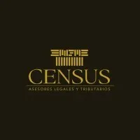 Census Consultores