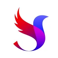 Success Without Limits