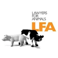 Lawyers for Animals