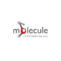 Molecule CRO