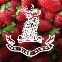 Greene's College Oxford