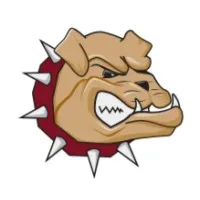 Bulldog Consulting Services