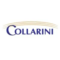 Collarini Energy Experts