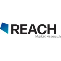 REACH Market Research