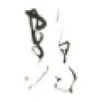 Tsuru Capital LLC Tsuru Capital LLC