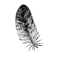 Seventh Generation Fund for Indigenous Peoples