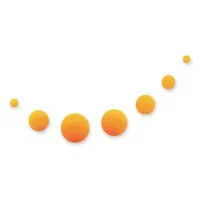 Arctic Youth Network