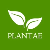 Plantae Viveiro & Consultoria Ambiental Plantae Viveiro & Consultoria Ambiental