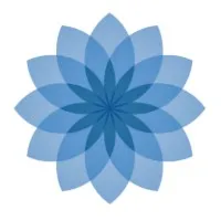 New Era Debt Solutions New Era Debt Solutions