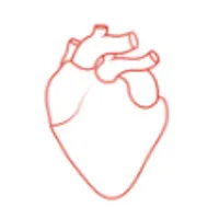 Sydney Heart Health Clinic Sydney Heart Health Clinic