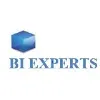BI Experts BI Experts