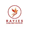 Rayies Global Solutions Rayies Global Solutions