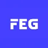 FEG INDIA