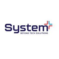 System Plus Pioneer Ltd