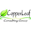 Copperleaf Consulting Group