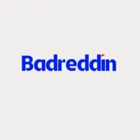 Badreddin Public Accountants & Financial Consultants 