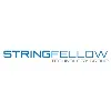 Stringfellow Technology Group Stringfellow Technology Group