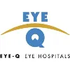 Eye-Q Vision Pvt Ltd Eye-Q Vision Pvt Ltd