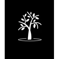 AmberAcademy