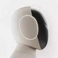 1X