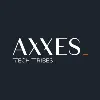 Axxes IT Consultancy