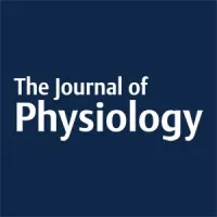 The Journal of Physiology The Journal of Physiology