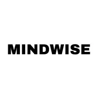 MINDWISE INFORMATION TECHNOLOGY LLC MINDWISE INFORMATION TECHNOLOGY LLC