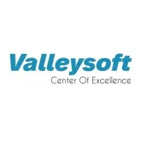 Valleysoft | Center of Excellence