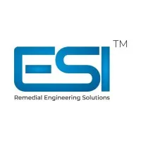 ESI Services India LLP