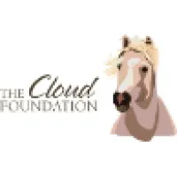 Cloud Foundation