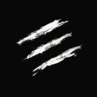 Elevation Private Limited