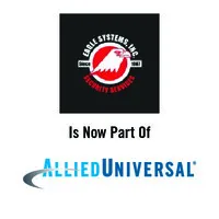 Eagle Systems, Inc.