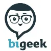 BI Geek BI Geek