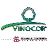 Vinocor Vinocor