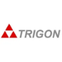 Trigon, Inc.