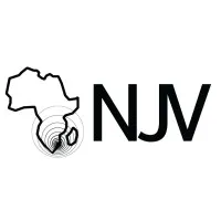 NJV Consulting
