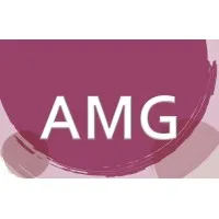 A M G INSIGHTS INNOVATIONS PRIVATE LIMITED