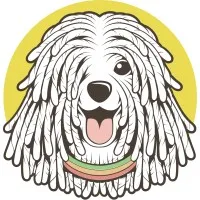 PuliStudio Technologies Inc
