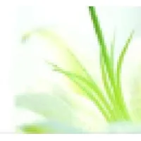 Amalan Technologies
