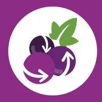 Fruzty.com