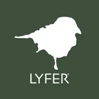 Lyfer