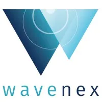 Wavenex - digital solution consultancy