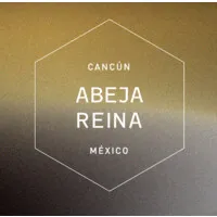 Abeja Reina Colmena Creativa 