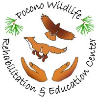 Pocono Wildlife Rehabilitation and Education Center