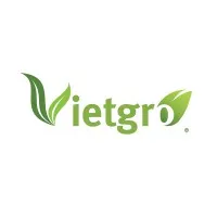 Vietgro Export Import Company Limited Vietgro Export Import Company Limited