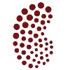 Qidni Labs