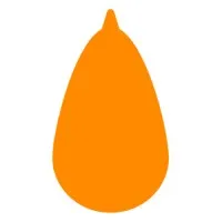 Loquat