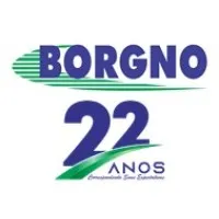 Borgno Transportes
