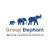 Group Elephant Group Elephant