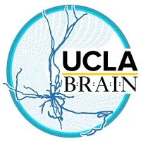 UCLA Brain Research & Artificial Intelligence Nexus